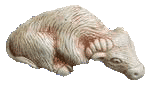 ./news_pic/byk.gif